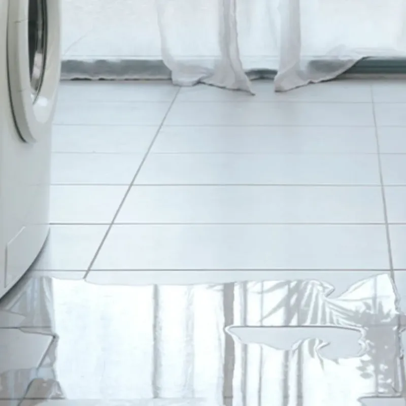 Appliance Leak Cleanup in Lakeside, VA