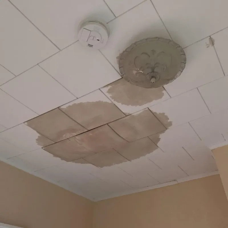 Ceiling Water Damage Repair in Lakeside, VA